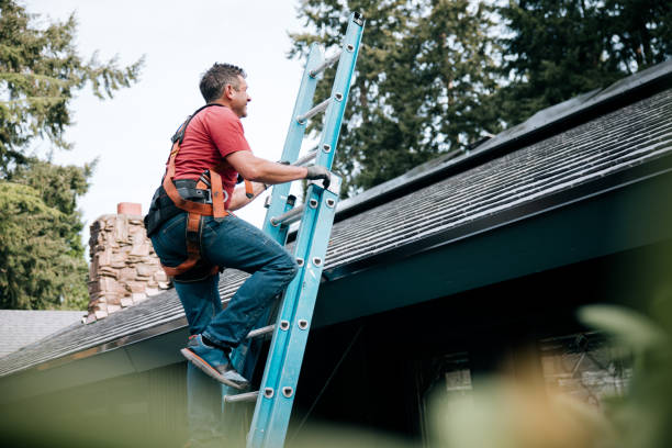 Best Roof Maintenance and Cleaning  in Emmaus, PA